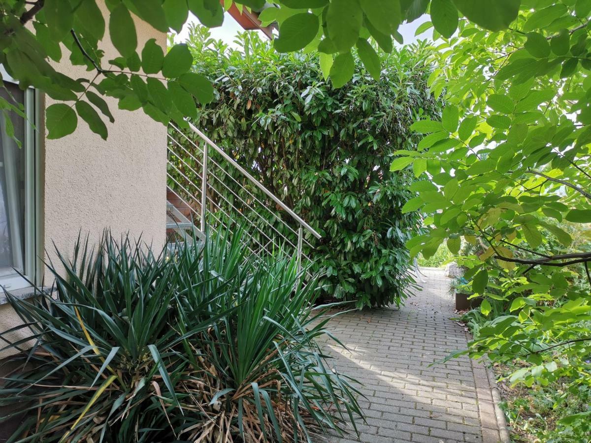 Apartment Am Horstberg فيرنغروده المظهر الخارجي الصورة